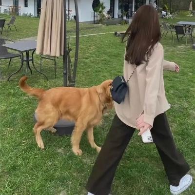 辣手情人梦
